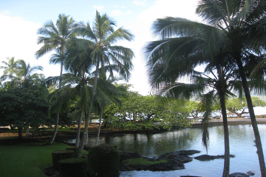 ../image/hilo hawaiian - hilo bay 8.jpg